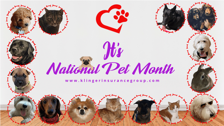 Image of a happy pet with festive decorations, celebrating National Pet Month and showcasing tips for honoring and caring for pets