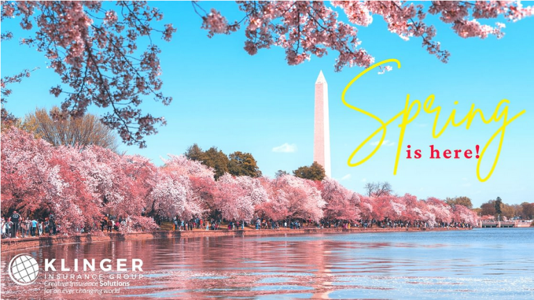 Image of the National Mall in Washington, D.C., with blooming flowers and trees, capturing the vibrant colors and beauty of spring in the city.