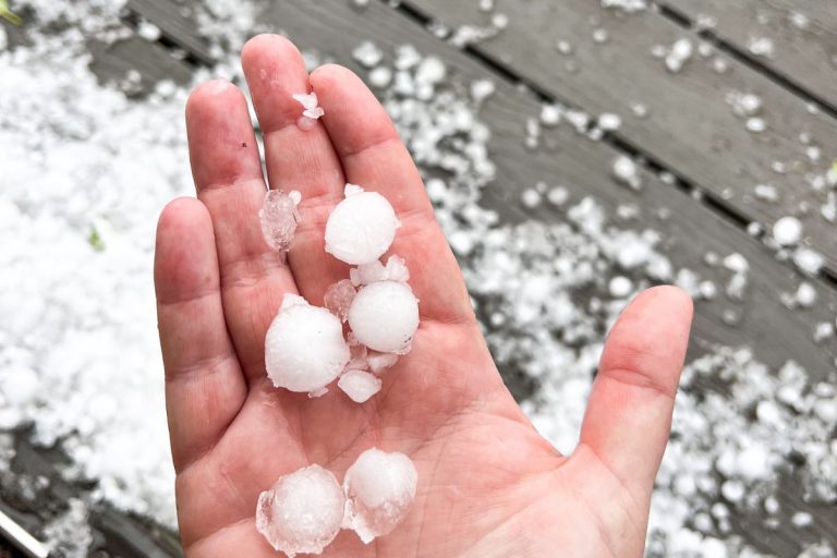 A damaged roof with scattered hailstones, highlighting the need for home insurance coverage.