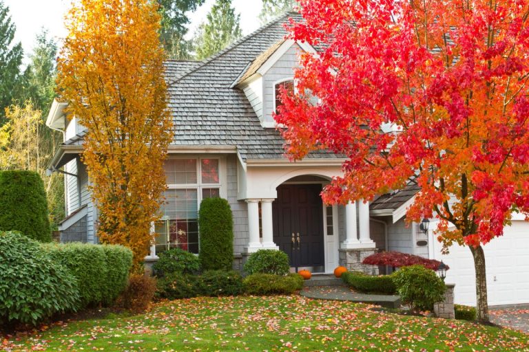 A neatly organized yard with colorful fall leaves scattered around, showing a well-maintained garden ready for the fall season